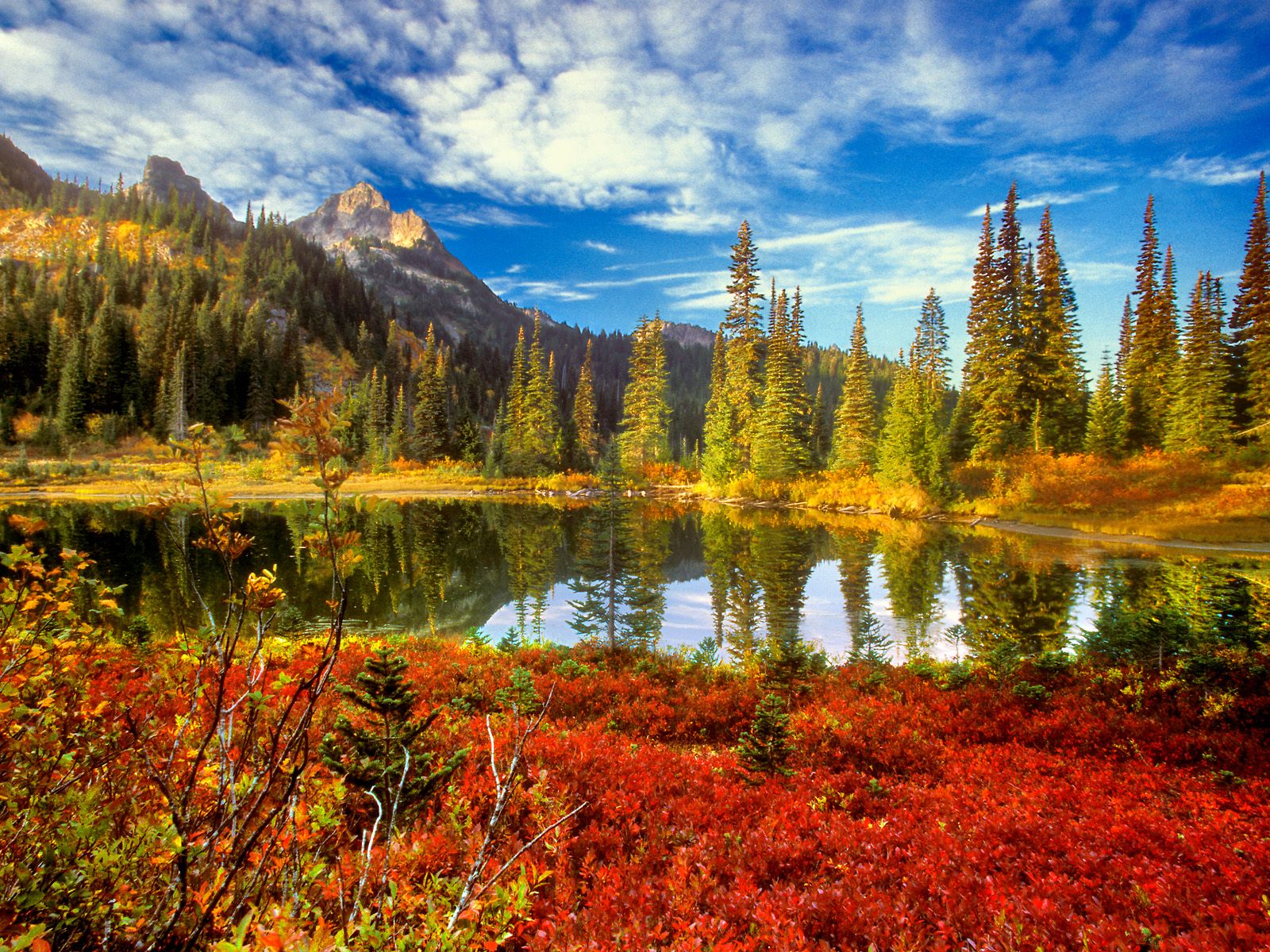 Serene mountain landscape with a tranquil pond, surrounded by lush forests and a picturesque lake.