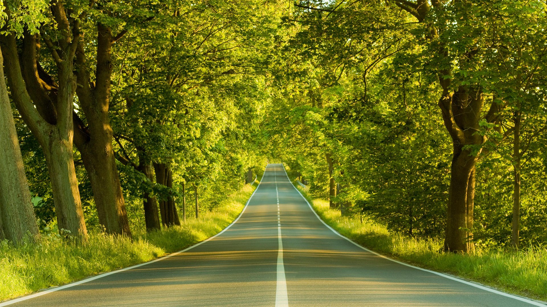 Download Man Made Road HD Wallpaper