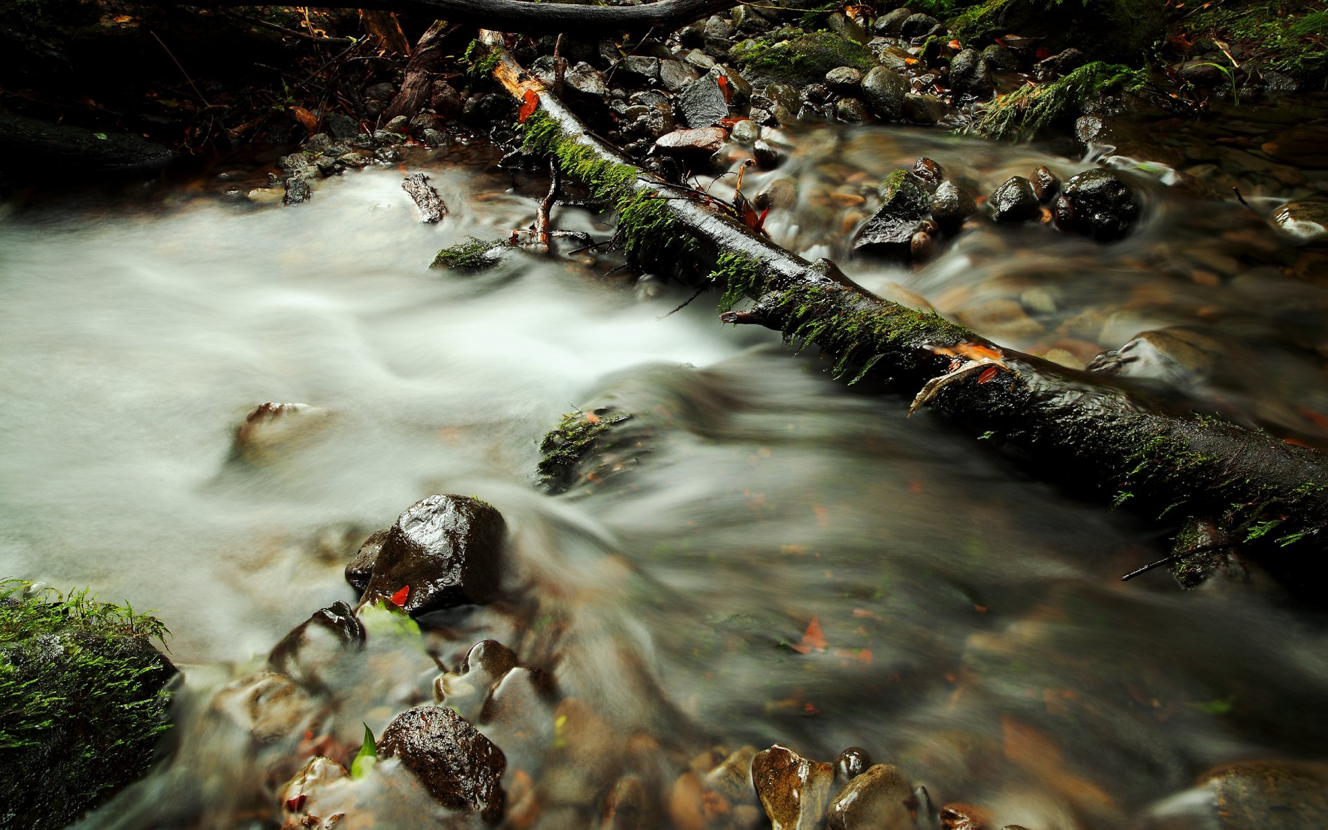 HD nature wallpaper showcasing a serene stream flowing gently over rocks and fallen branches in a forest setting.