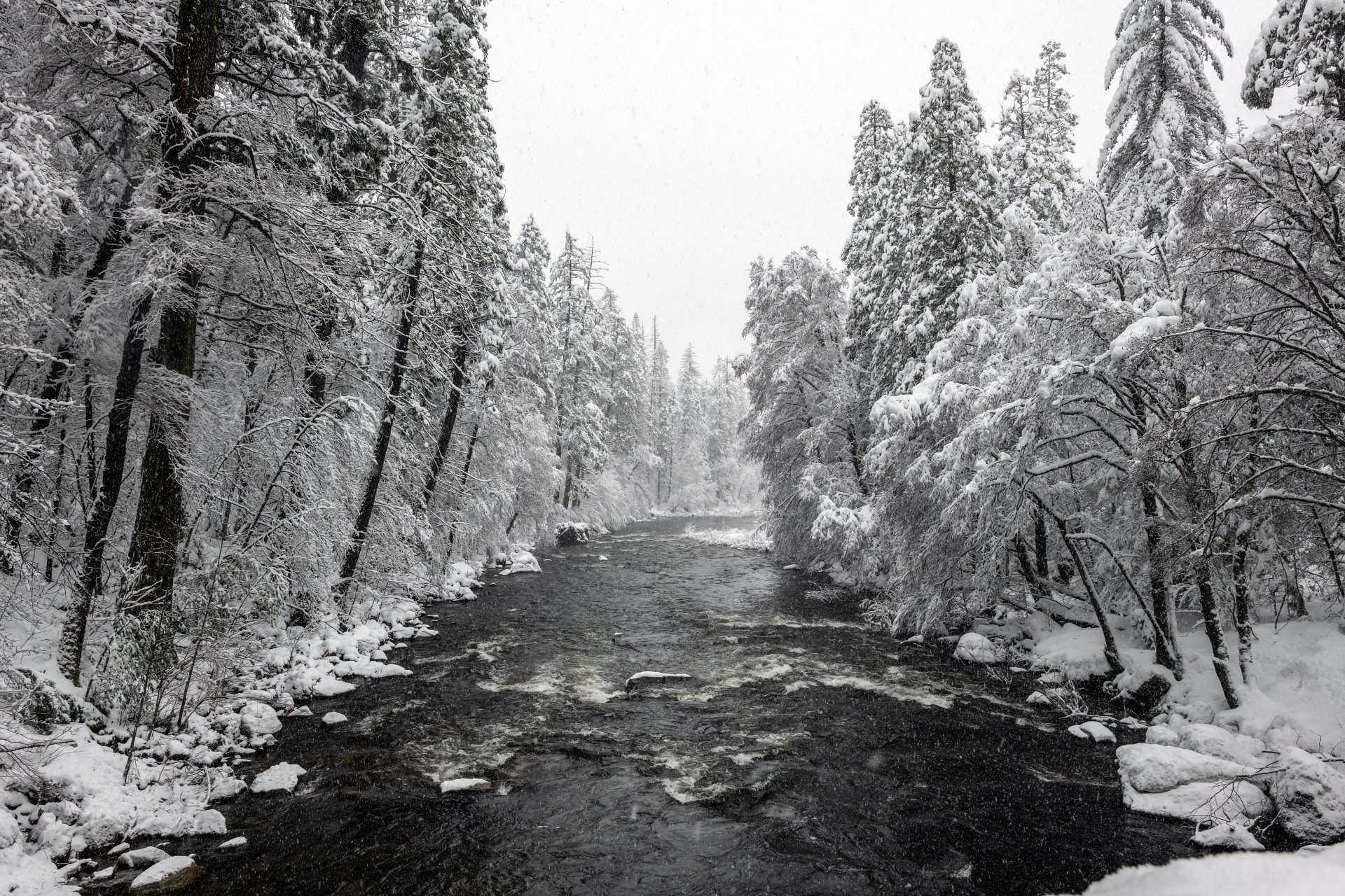 Snow-covered trees line a flowing river in Yosemite National Park during winter, captured in 8K Ultra HD for a stunning nature desktop background.