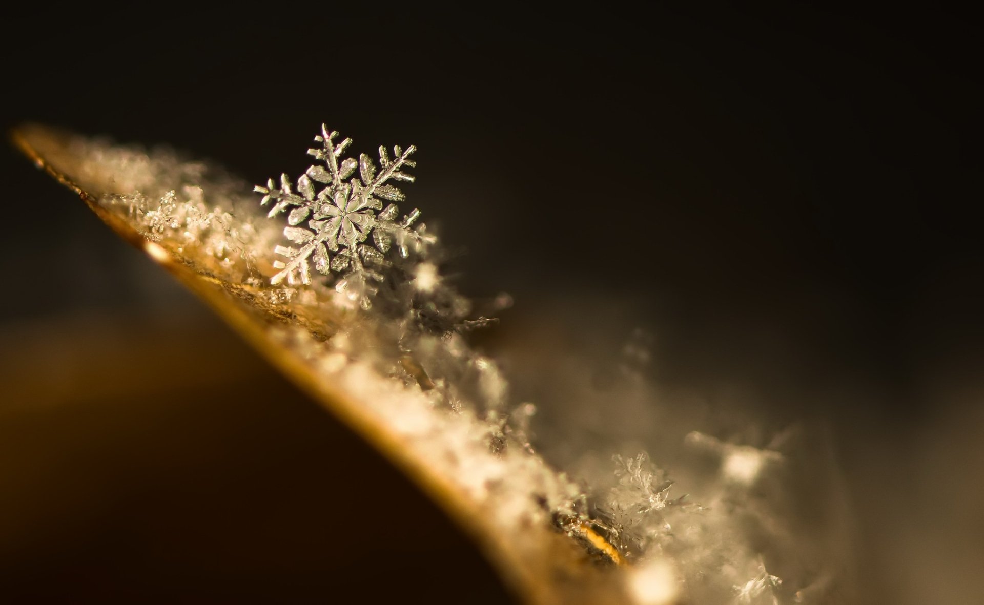 Download Macro Artistic Snowflake HD Wallpaper | 2040x1255 | Wallpaper ...
