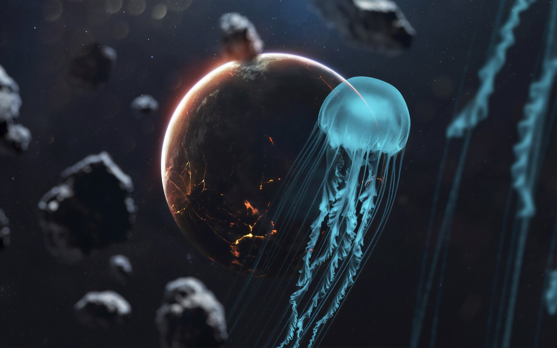 Download Space Animal Jellyfish 4k Ultra HD Wallpaper by Vadim
