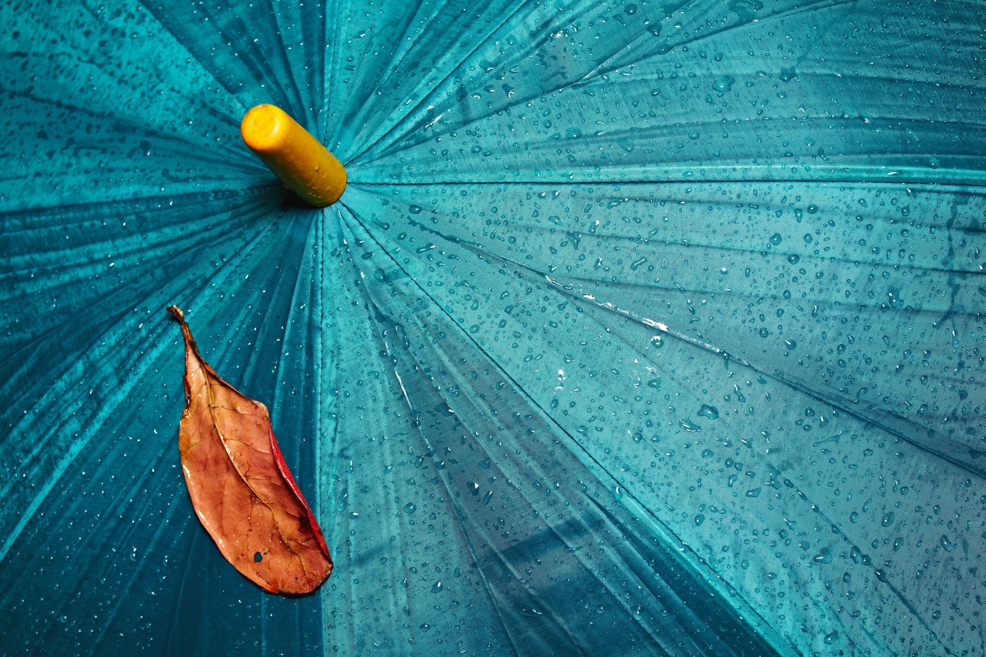 Download Photography Umbrella 4k Ultra HD Wallpaper