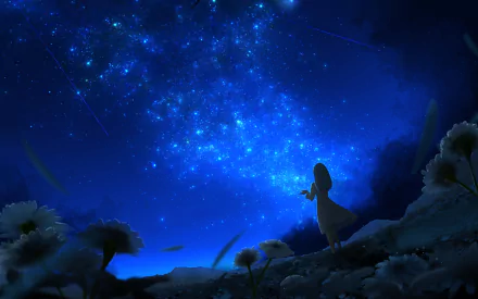 Anime-style HD desktop wallpaper featuring a night sky filled with stars and shooting stars, with a silhouette of a girl among flowers under the glowing sky.