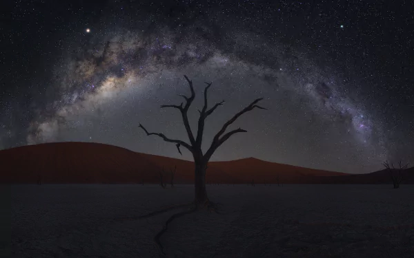 starry sky night Namibia sand dune tree sand nature desert HD Desktop Wallpaper | Background Image
