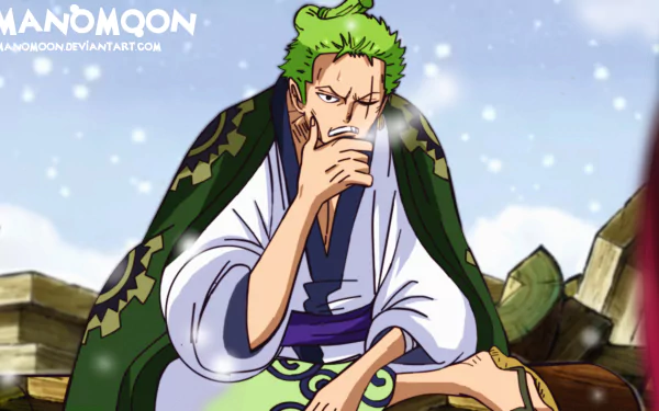 Roronoa Zoro Anime One Piece HD Desktop Wallpaper | Background Image