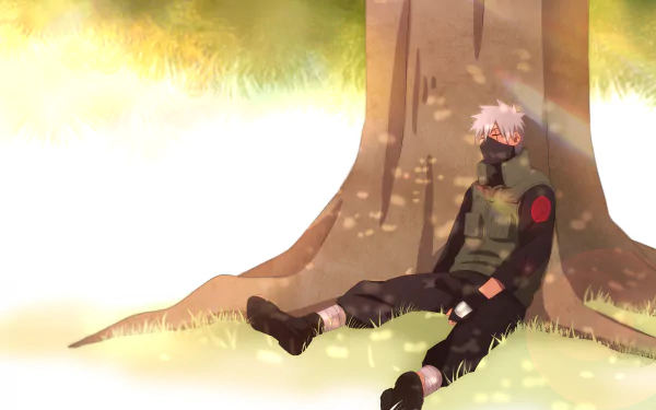 4K Ultra HD PC desktop wallpaper of Kakashi Hatake from Naruto, leaning against a sunlit tree with mask and ninja gear, peaceful grassy background.