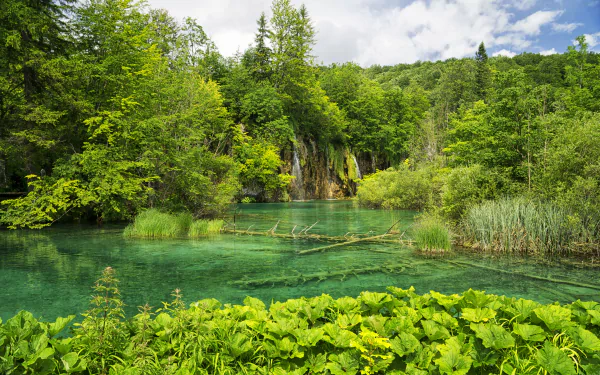 greenery Croatia nature waterfall HD Desktop Wallpaper | Background Image