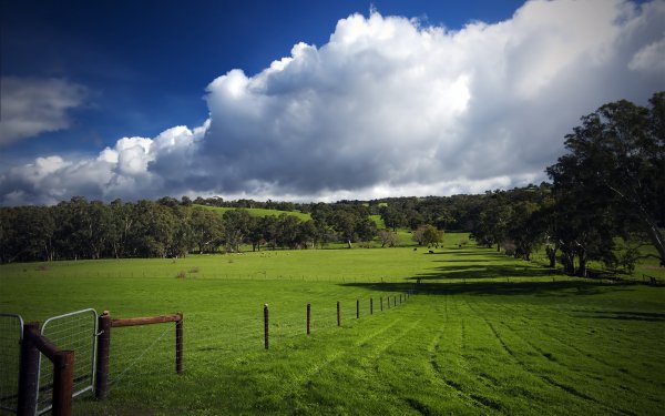 Earth Field Fence Cattle Sheep Hill Cloud Sky Australia HD Wallpaper | Background Image