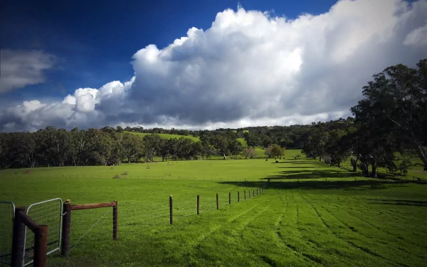  The Green Hill's of Home by Acidphosphate
