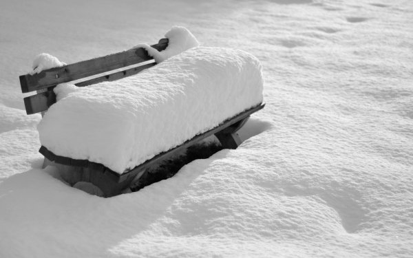 Photography Winter Bench Snow Covered HD Wallpaper | Background Image