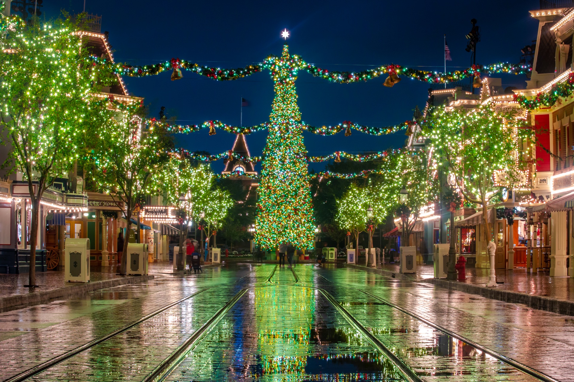 Download Disneyland California Christmas Lights Christmas Tree Holiday