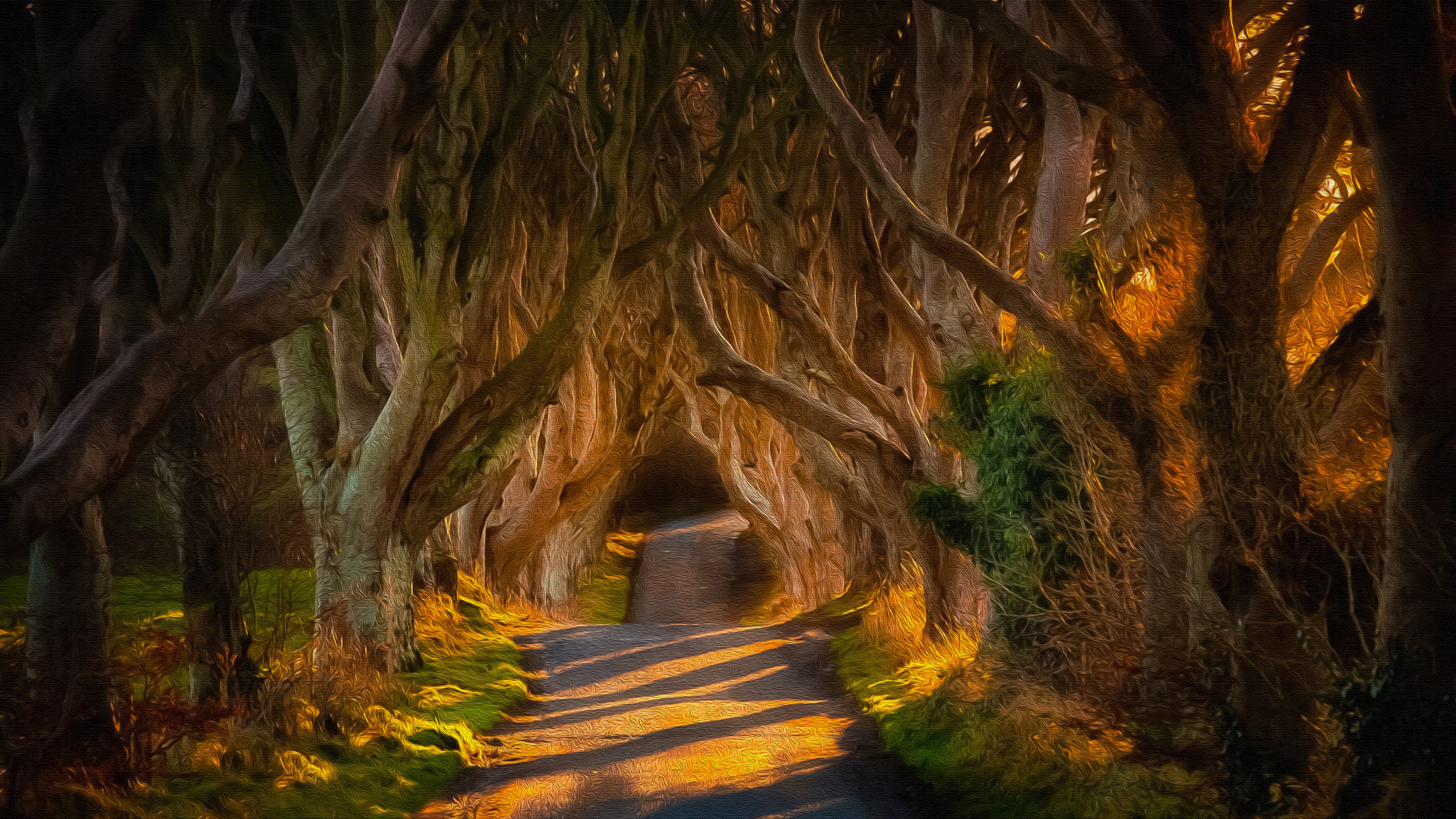 Dark Hedges County Antrim Oil On Canvas 4k Ultra Hd Wallpaper Background Image 3840x2160