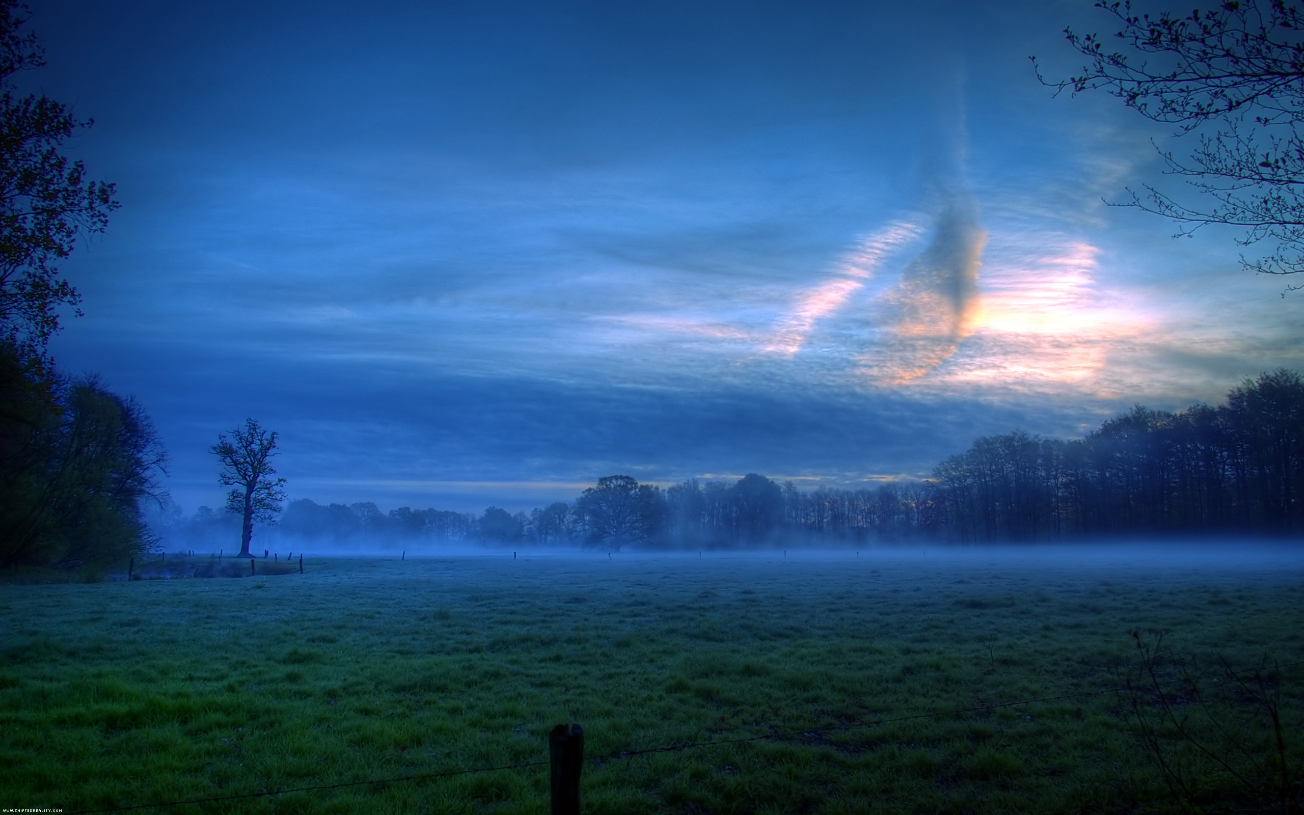 Desktop wallpaper: A serene nature scene at dusk, featuring a foggy field, a solitary tree, and greenery under cloudy skies.