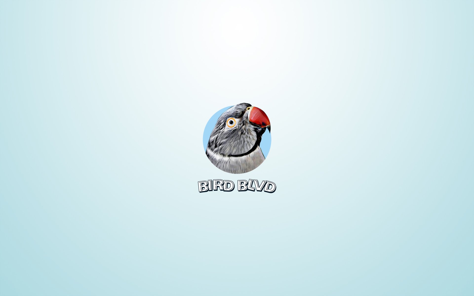 Bird Blvd - Arizona by Bird Blvd Media