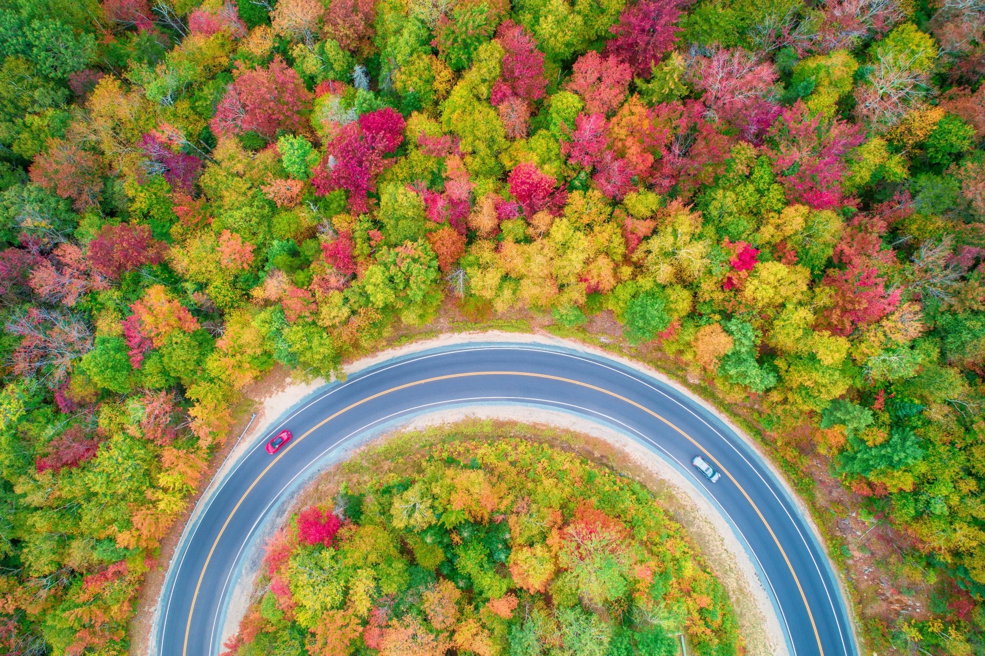 Download Tree Road Forest Fall Photography Aerial 4k Ultra HD Wallpaper ...