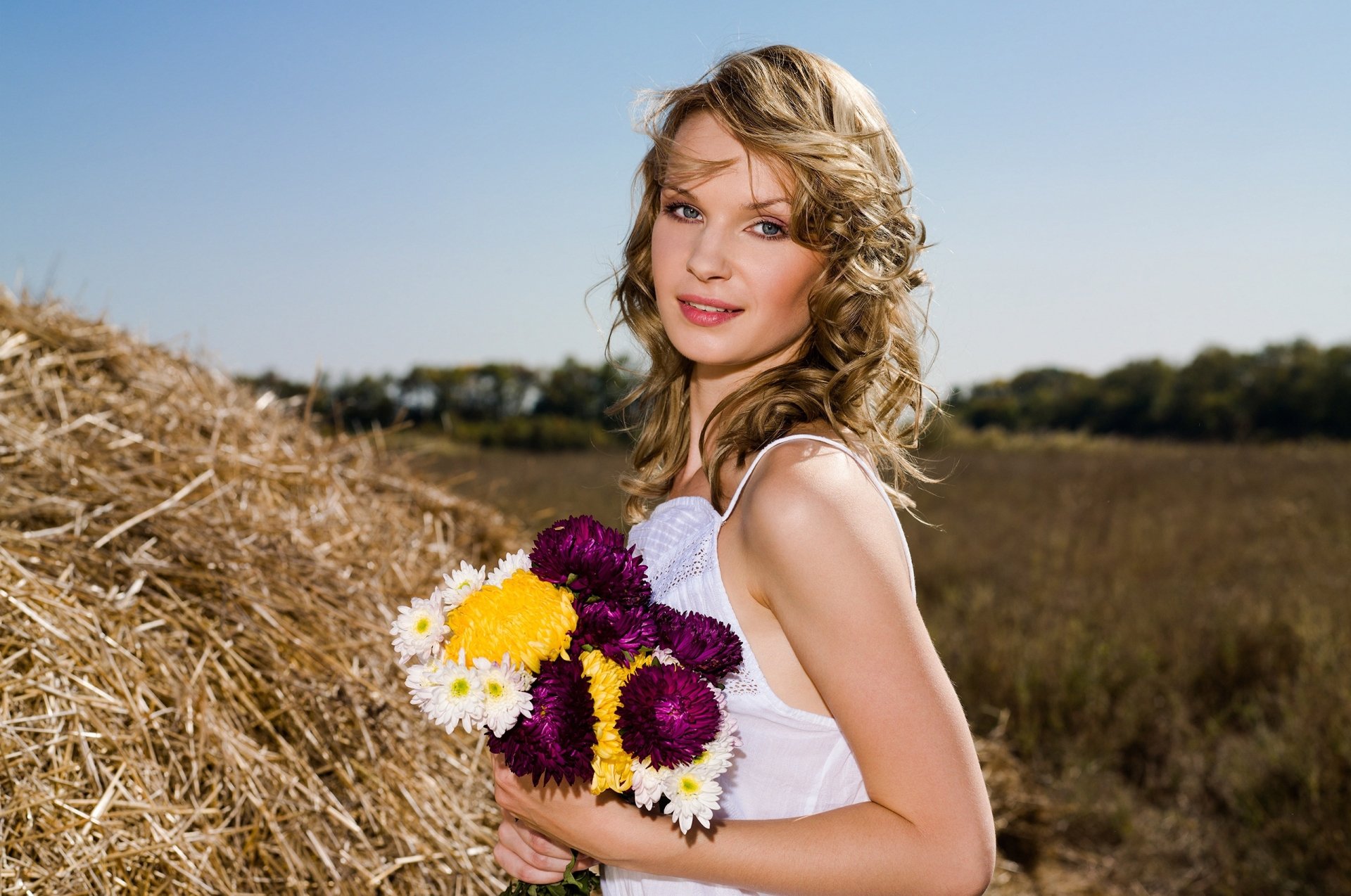 Download Depth Of Field Blue Eyes Blonde Chrysanthemum Haystack Flower ...