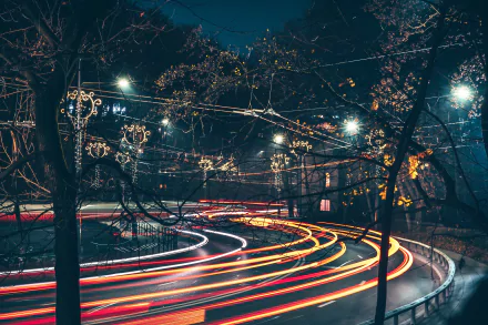 4K Ultra HD time-lapse night photography capturing vibrant light trails curving through a tree-lined road under streetlights.