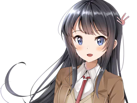 Mai Sakurajima Anime Rascal Does Not Dream of Bunny Girl Senpai HD Desktop Wallpaper | Background Image