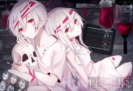 red eyes white hair Anime Nico Nico Singer HD Desktop Wallpaper | Background Image