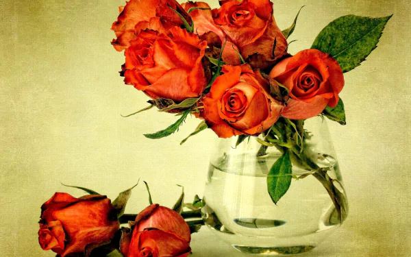HD desktop wallpaper featuring a still life photography of vibrant red roses arranged in a clear glass vase against a textured background.
