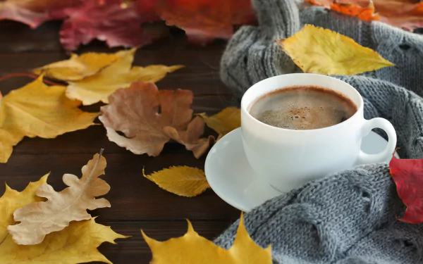 still life drink mug fall food coffee fall coffee HD Desktop Wallpaper | Background Image
