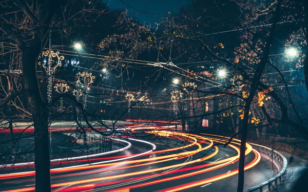 4K Ultra HD time-lapse night photography capturing vibrant light trails curving through a tree-lined road under streetlights.