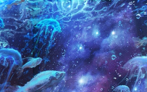 Anime Original Jellyfish Fish HD Wallpaper | Background Image