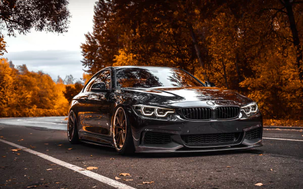 A sleek silver BMW 4 Series car parked on an autumn road, captured in stunning 4K Ultra HD as a vibrant PC desktop wallpaper and background.
