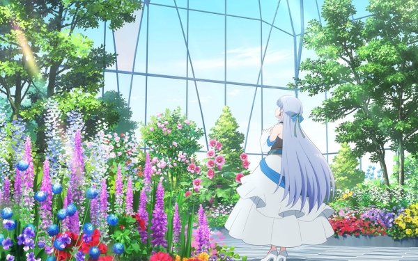 Anime Shironeko Project: Zero Chronicle Iris HD Wallpaper | Background Image