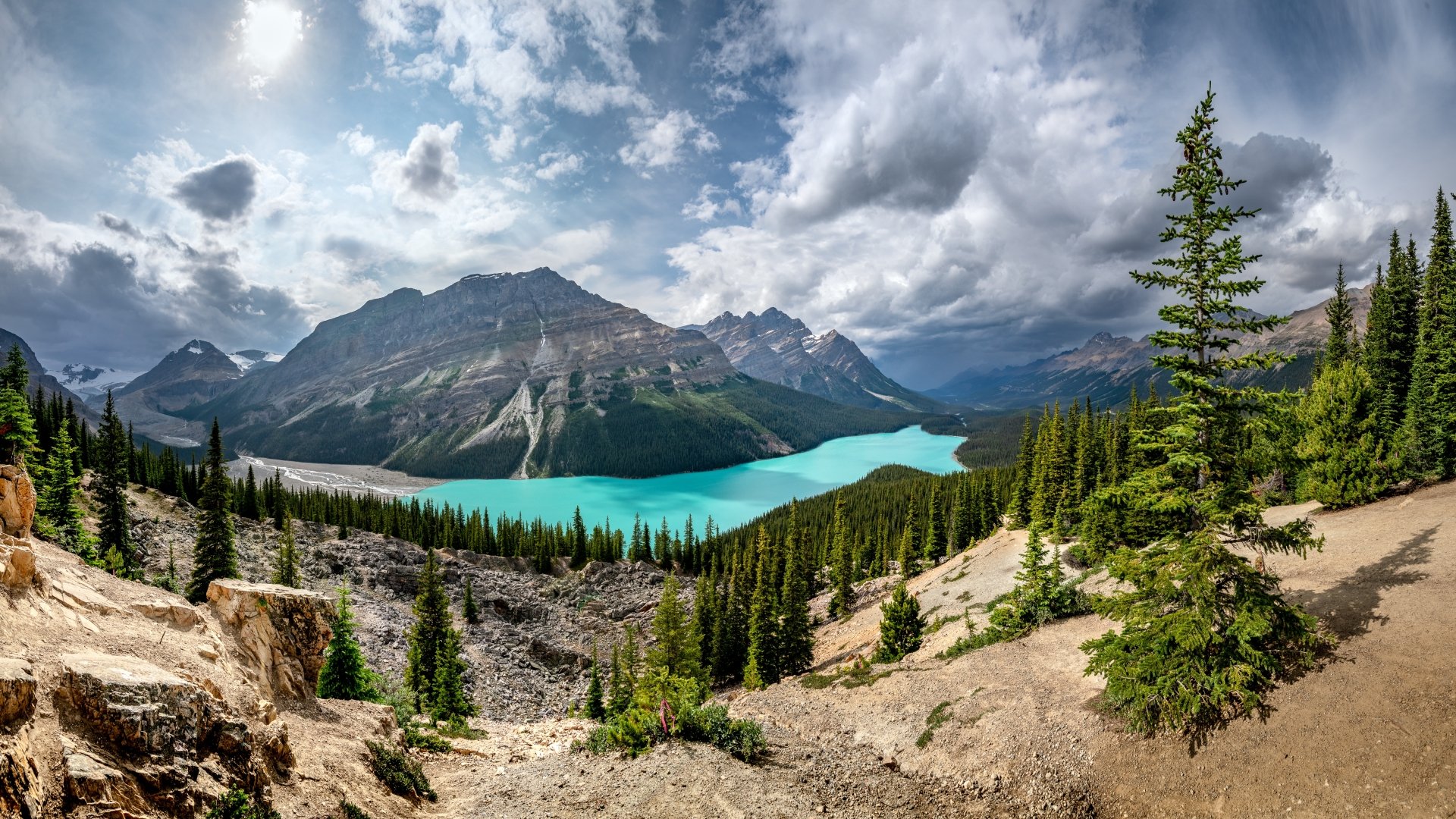 Panoramic view of Peyto Lake with turquoise water, surrounded by pine trees and mountains under a cloudy sky in Banff National Park, Canada.