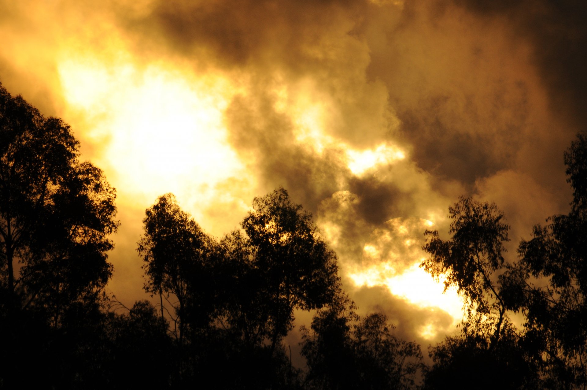 Download Nature Scenic 4k Ultra HD Wallpaper