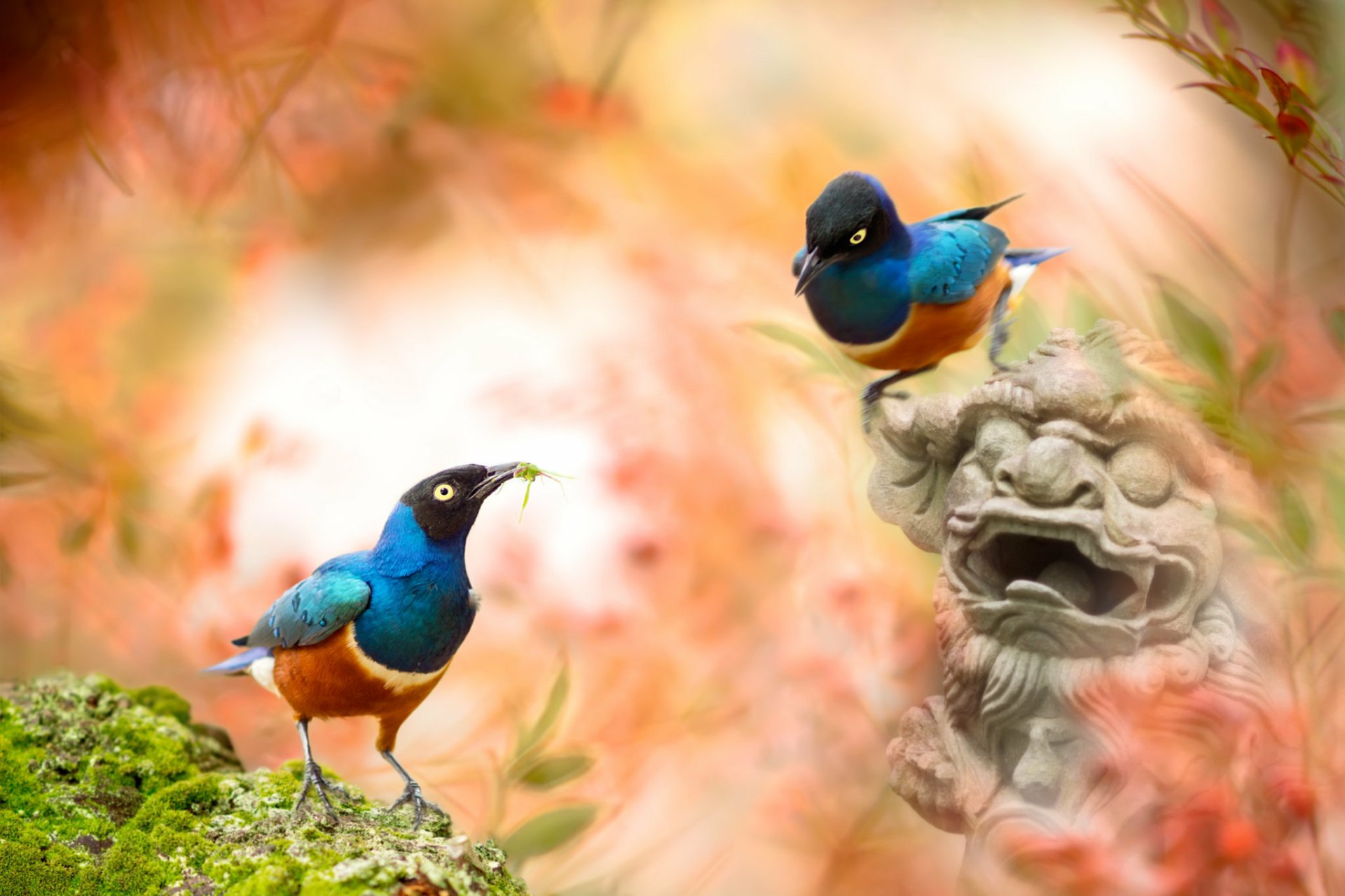 Download Sculpture Animal Starling HD Wallpaper