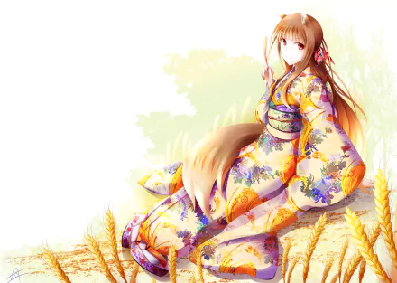 Holo (Spice & Wolf) Anime Spice and Wolf HD Desktop Wallpaper | Background Image
