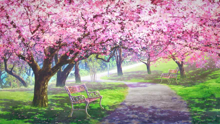 HD desktop wallpaper featuring a serene anime scene of a path lined with sakura trees in full bloom, with pink cherry blossoms and empty wooden benches beneath a canopy of flowers.