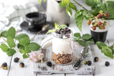 still life granola yogurt blackberry berry food breakfast HD Desktop Wallpaper | Background Image