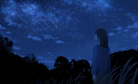 Anime-style HD desktop wallpaper featuring a girl gazing at a starry night sky, capturing the serene beauty of an original anime night scene.