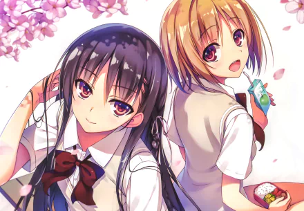 Kikyō Kushida Suzune Horikita Anime Classroom of the Elite HD Desktop Wallpaper | Background Image