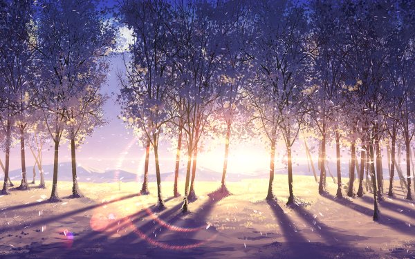 Anime Tree Sunrise HD Wallpaper | Background Image