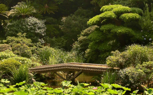 man made bridge HD Desktop Wallpaper | Background Image