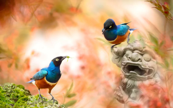 sculpture Animal starling HD Desktop Wallpaper | Background Image