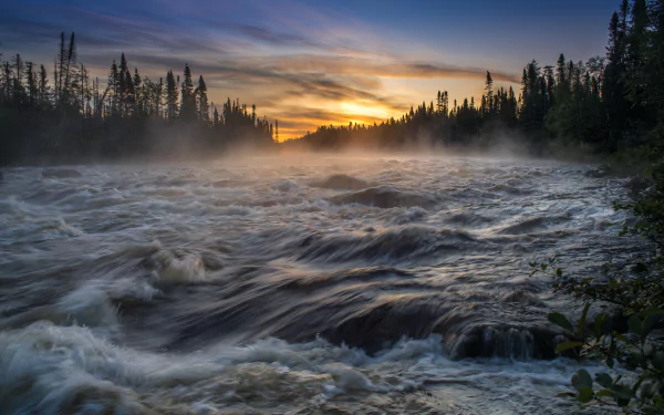 8K Ultra HD image of a misty river rushing through dense forest under a vibrant sunrise sky, capturing the raw beauty of nature at dawn.