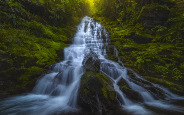 Lush greenery and sunlight-framed nature waterfall cascading over mossy rocks toward the foreground — 5K Ultra HD PC Desktop Wallpaper and Background.