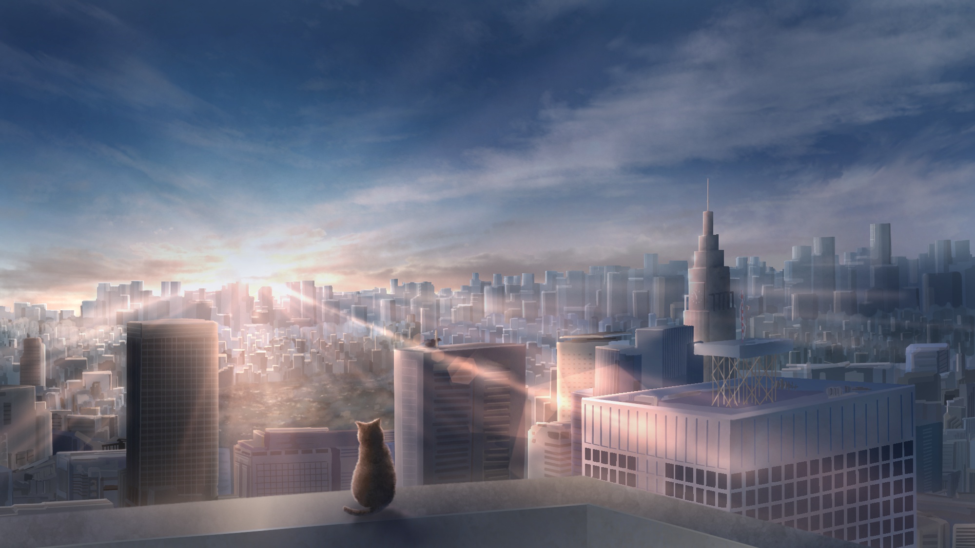 Download Building Cityscape Sunrise City Cat Anime Original HD Wallpaper