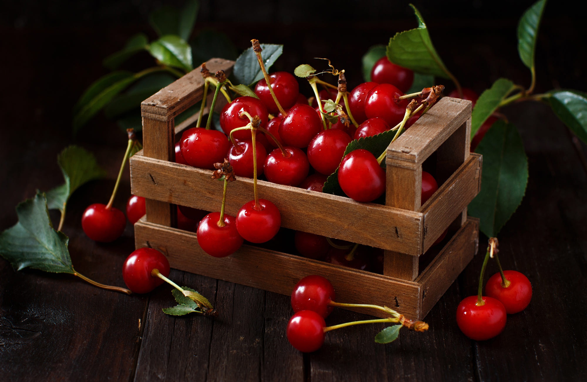 Cherry Aesthetic Wallpapers  Wallpaper Cave