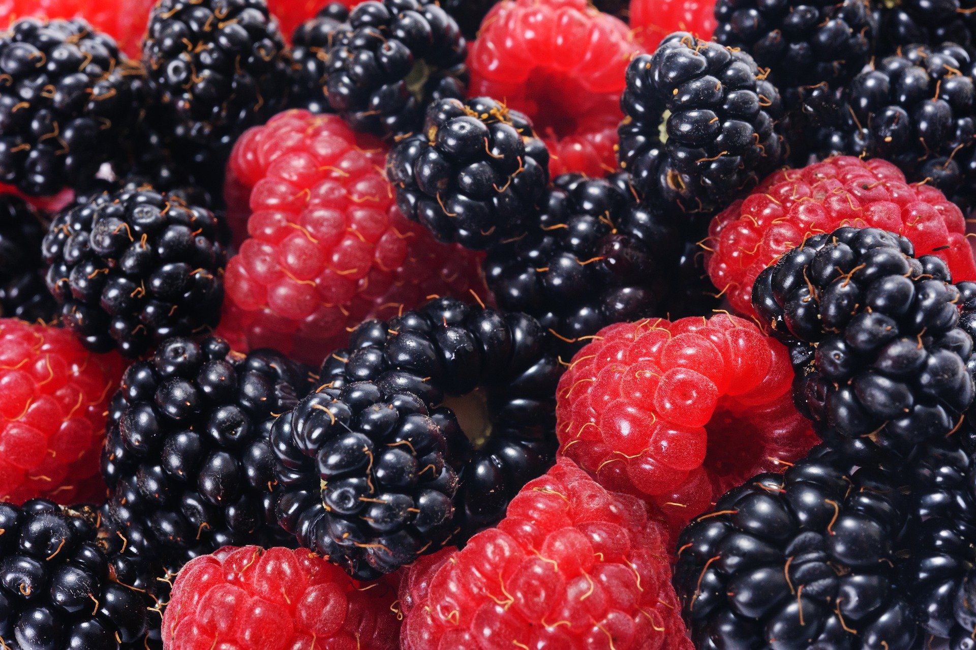 Download Blackberry Raspberry Fruit Food Berry HD Wallpaper