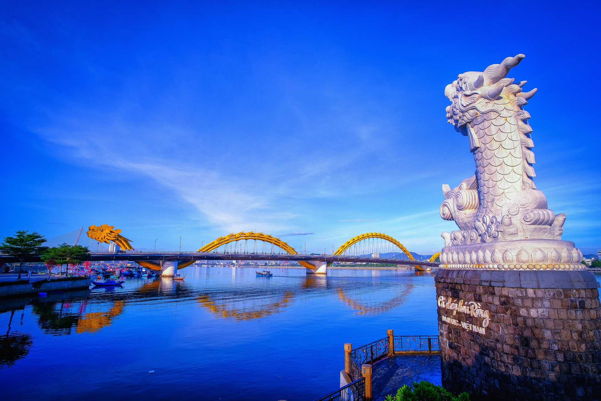 Dragon Bridge in Da Nang, Vietnam by Quang Anh Ta