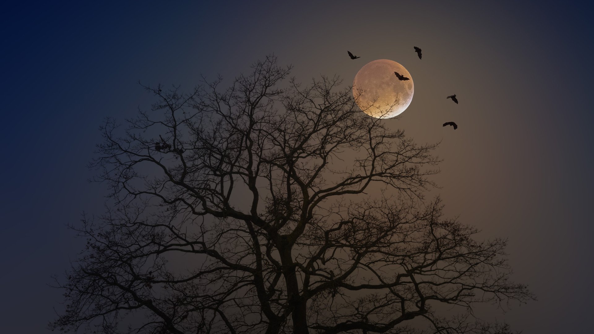4K Ultra HD PC desktop background: silhouetted leafless tree with bats flying past a glowing full moon in a moody night nature scene.