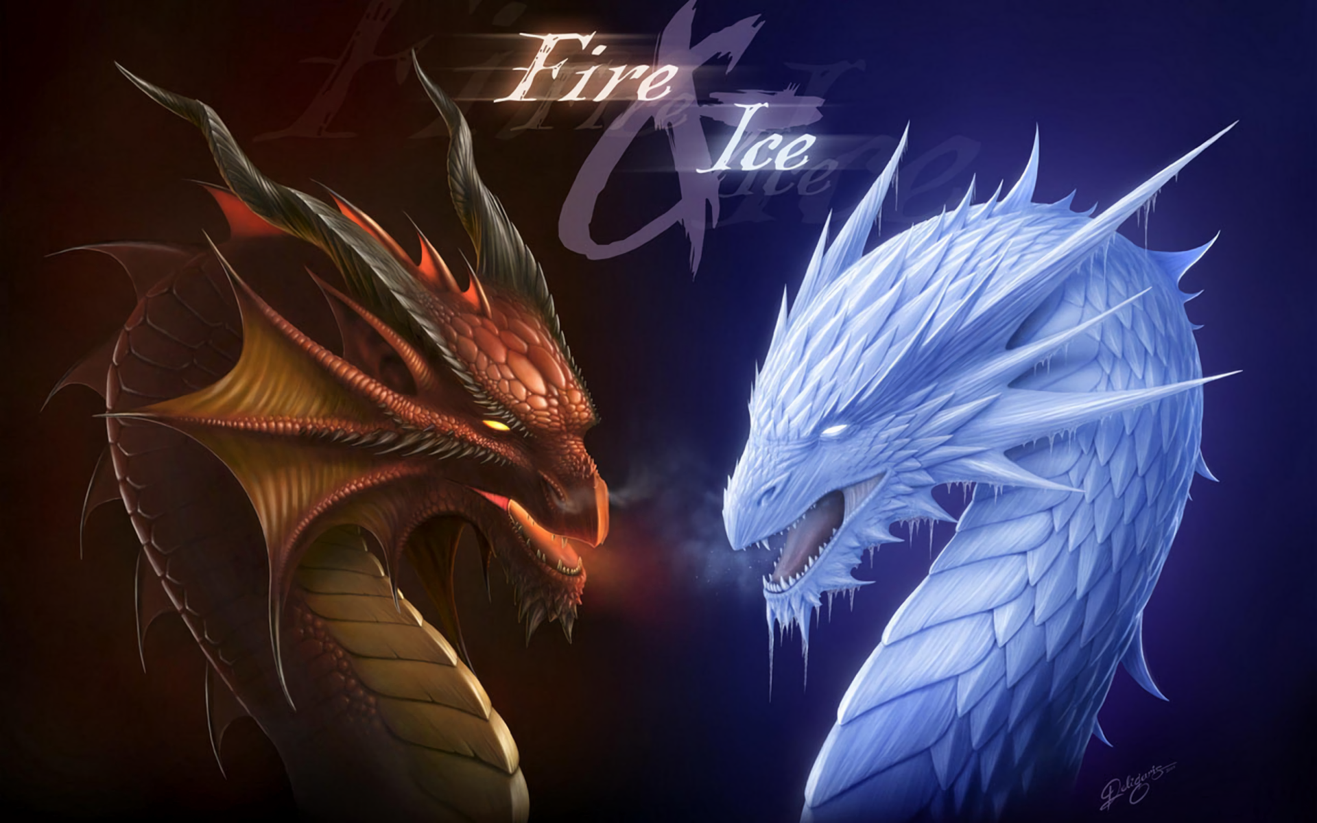 1748 Dragon HD Wallpapers | Background