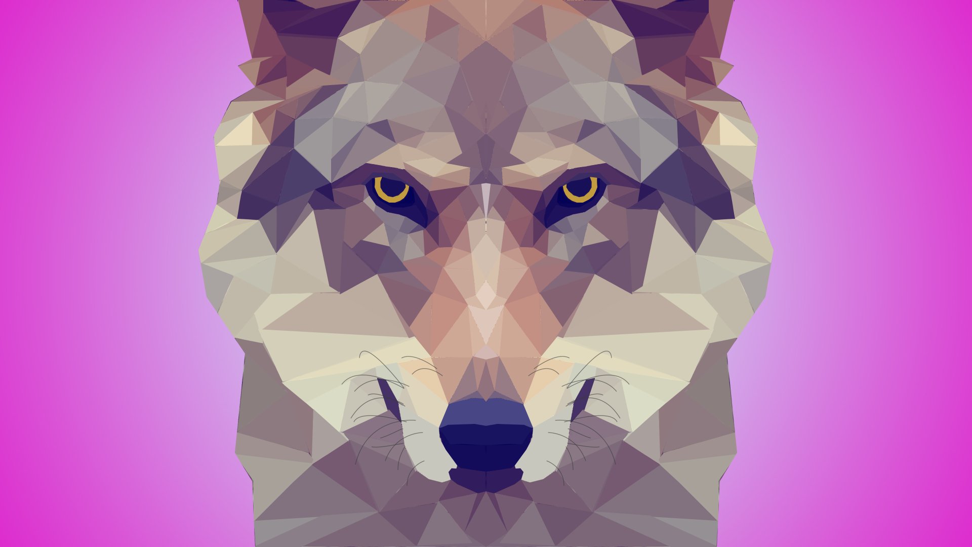 Download Facets Animal Wolf 4k Ultra HD Wallpaper by Abhishek_Choudhary